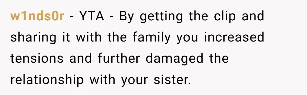 w1nds0r − YTA - By getting the clip and sharing it with the family you increased tensions and further damaged the relationship with your sister.