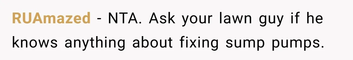 RUAmazed − NTA. Ask your lawn guy if he knows anything about fixing sump pumps.