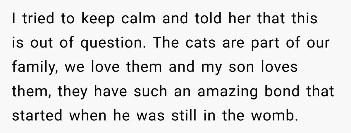 I tried to keep calm and told her that this is out of question. The cats are part of our family, we love them and my son loves them, they...