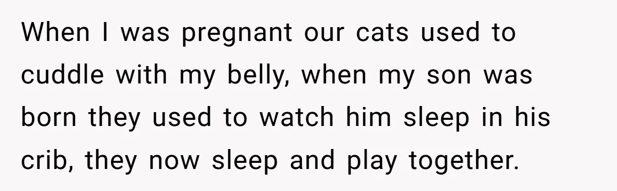 When I was pregnant our cats used to cuddle with my belly, when my son was born they used to watch him sleep in his crib, they now sleep and...