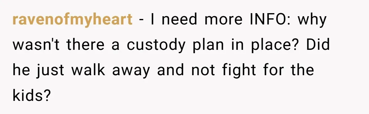 ravenofmyheart − I need more INFO: why wasn't there a custody plan in place? Did he just walk away and not fight for the kids?