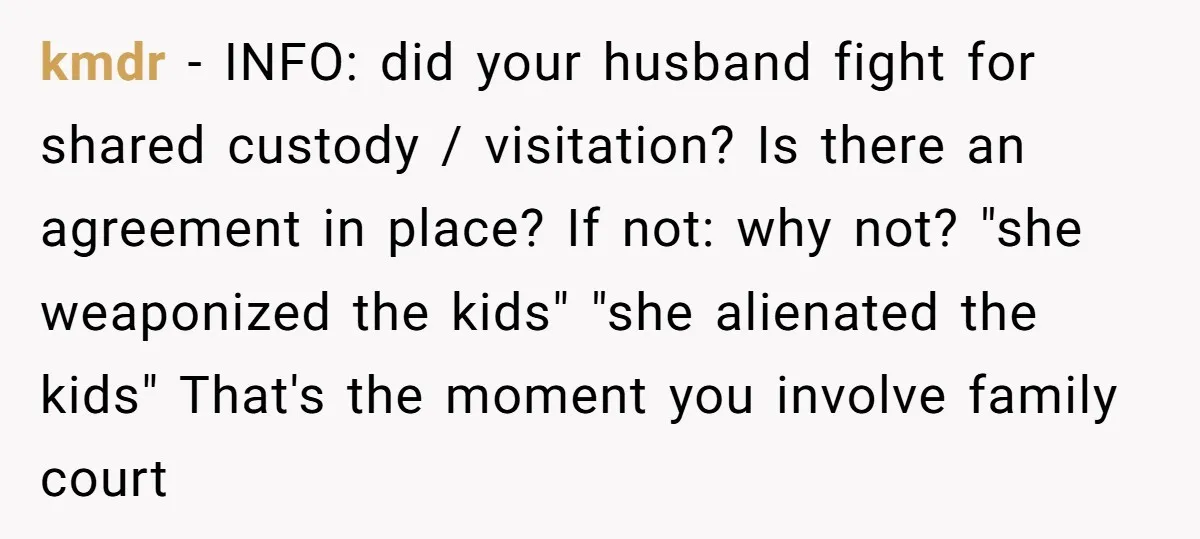 kmdr − INFO: did your husband fight for shared custody / visitation? Is there an agreement in place? If not: why not? "she weaponized the kids" "she alienated the kids"...