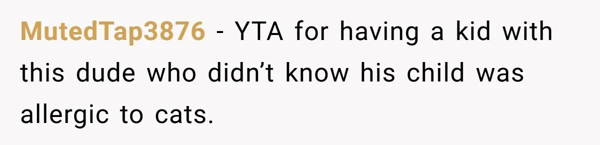 MutedTap3876 − YTA for having a kid with this dude who didn’t know his child was allergic to cats.