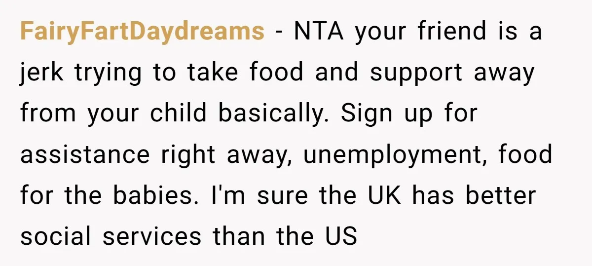 FairyFartDaydreams − NTA your friend is a jerk trying to take food and support away from your child basically. Sign up for assistance right away, unemployment, food for the babies....