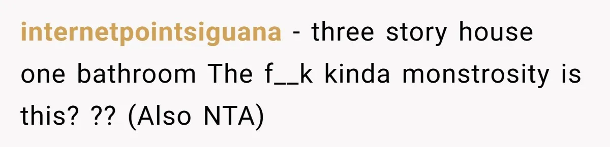 internetpointsiguana − three story house one bathroom The f__k kinda monstrosity is this? ?? (Also NTA)