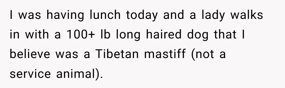I was having lunch today and a lady walks in with a 100+ lb long haired dog that I believe was a Tibetan mastiff (not a service animal).