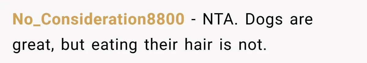 No_Consideration8800 − NTA. Dogs are great, but eating their hair is not.