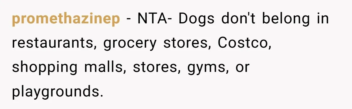 promethazinep − NTA- Dogs don't belong in restaurants, grocery stores, Costco, shopping malls, stores, gyms, or playgrounds.