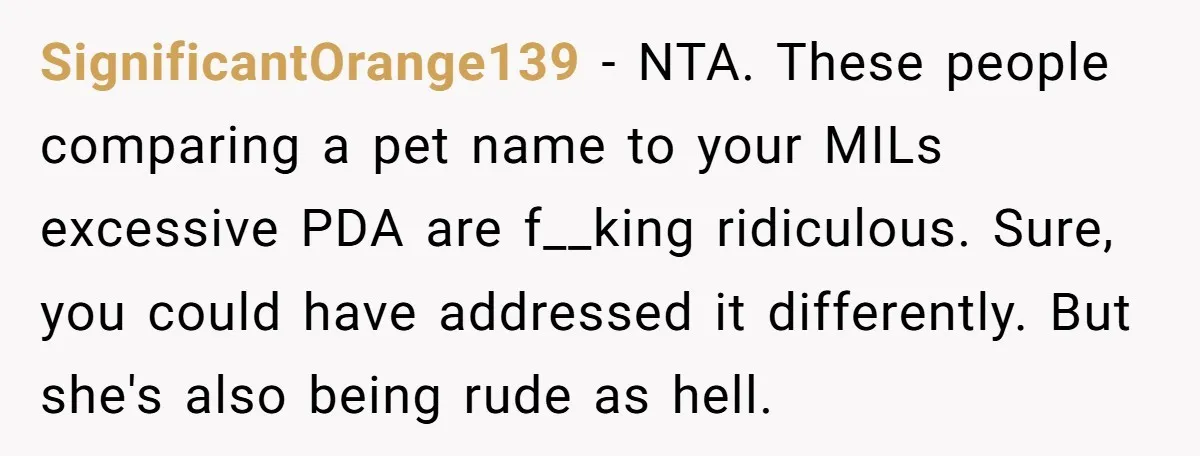 SignificantOrange139 − NTA. These people comparing a pet name to your MILs excessive PDA are f__king ridiculous. Sure, you could have addressed it differently. But she's also being rude as...
