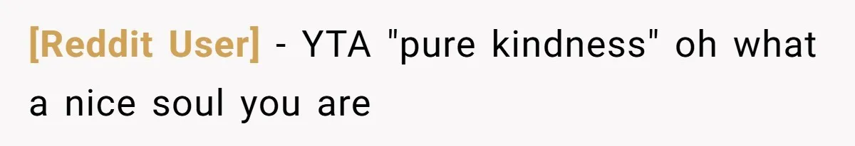 [Reddit User] − YTA "pure kindness" oh what a nice soul you are