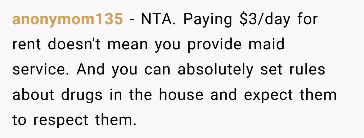 anonymom135 − NTA. Paying $3/day for rent doesn't mean you provide maid service. And you can absolutely set rules about drugs in the house and expect them to respect them.