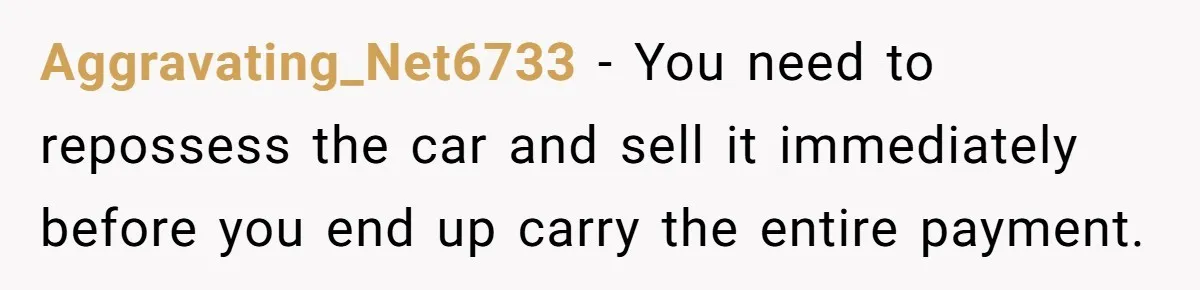 Aggravating_Net6733 − You need to repossess the car and sell it immediately before you end up carry the entire payment.