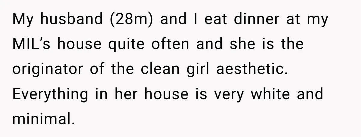 My husband (28m) and I eat dinner at my MIL’s house quite often and she is the originator of the clean girl aesthetic. Everything in her house is very white...