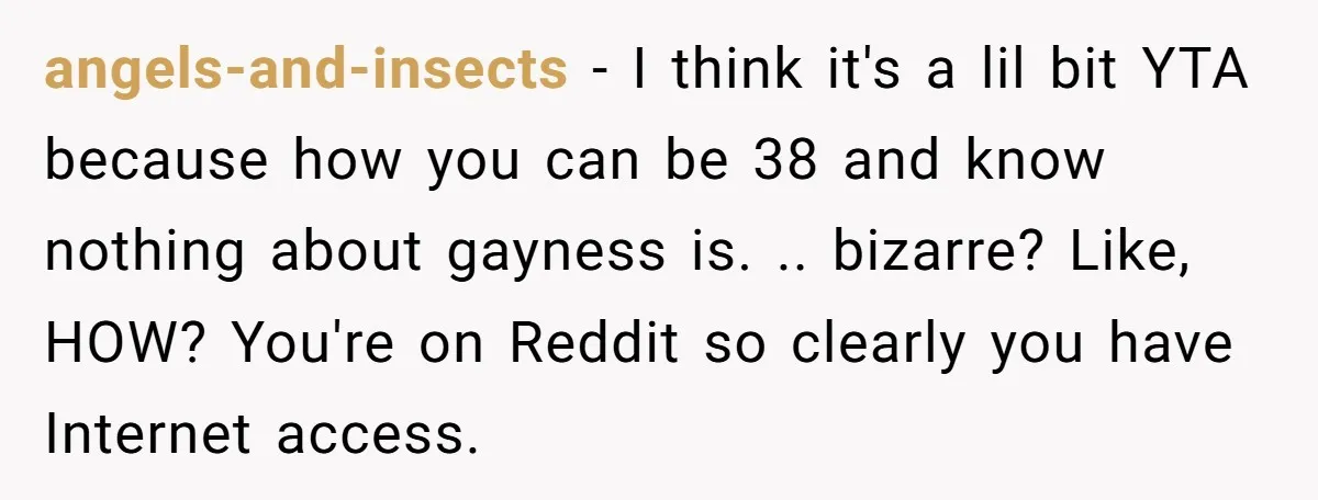 angels-and-insects − I think it's a lil bit YTA because how you can be 38 and know nothing about gayness is. .. bizarre? Like, HOW? You're on Reddit so clearly...