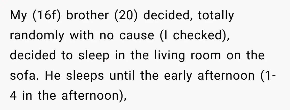 My (16f) brother (20) decided, totally randomly with no cause (I checked), decided to sleep in the living room on the sofa. He sleeps until the early afternoon (1-4 in...