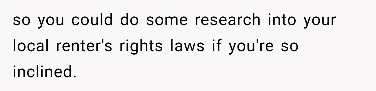so you could do some research into your local renter's rights laws if you're so inclined.