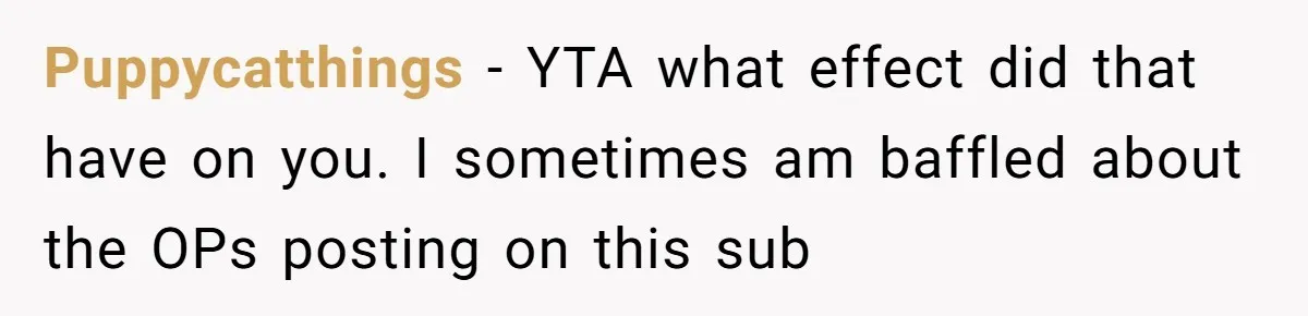 Puppycatthings − YTA what effect did that have on you. I sometimes am baffled about the OPs posting on this sub