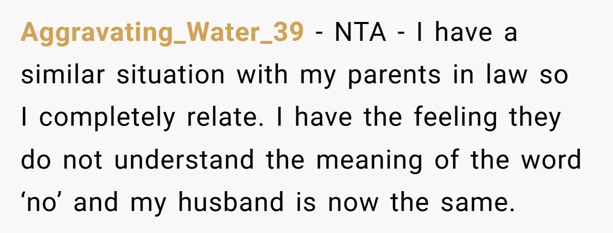Aggravating_Water_39 − NTA - I have a similar situation with my parents in law so I completely relate. I have the feeling they do not understand the meaning of the...