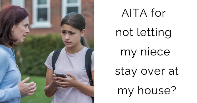 AITA for not letting my niece stay over at my house?