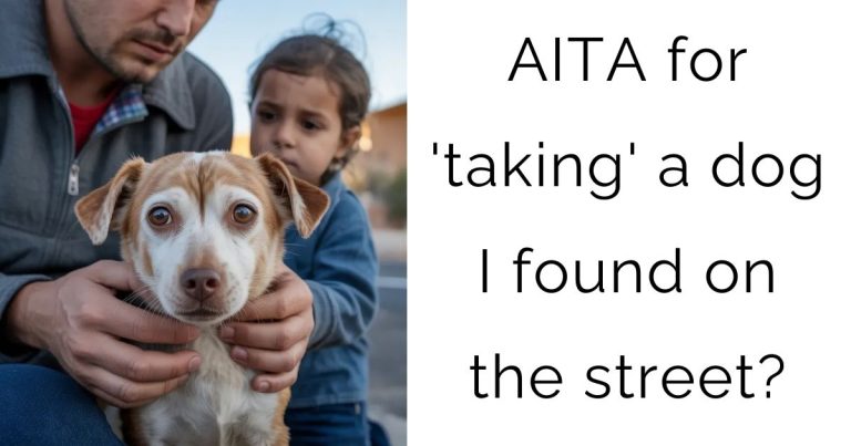 AITA for ‘taking’ a dog I found on the street?