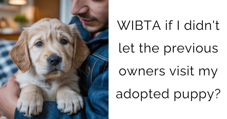 WIBTA if I didn’t let the previous owners visit my adopted puppy?