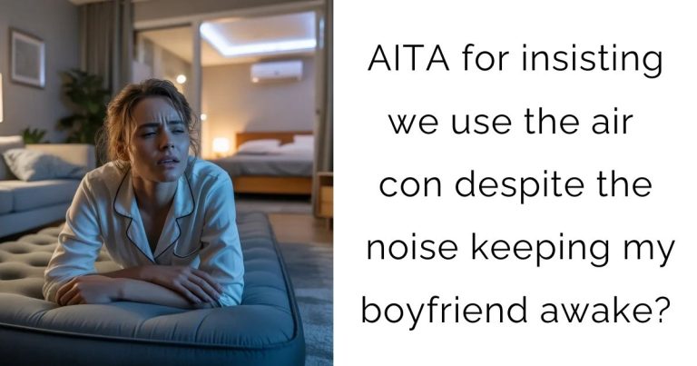AITA for insisting we use the air con despite the noise keeping my boyfriend awake?