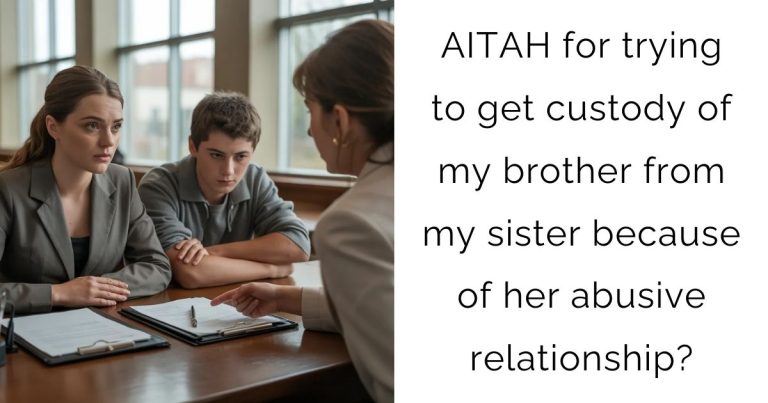 AITAH for trying to get custody of my brother from my sister because of her abusive relationship?