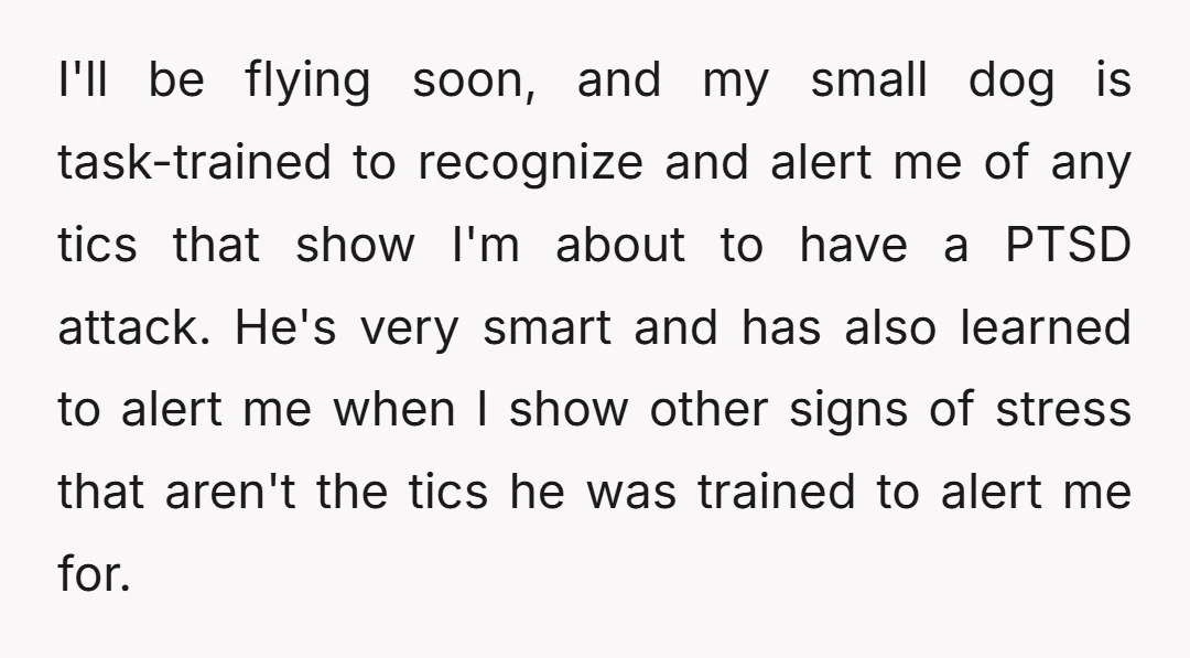 I'll be flying soon, and my small dog is task-trained to recognize and alert me of any tics that show I'm about to have a PTSD attack. He's very smart...