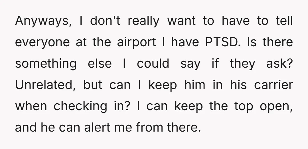 Anyways, I don't really want to have to tell everyone at the airport I have PTSD. Is there something else I could say if they ask? Unrelated, but can I...