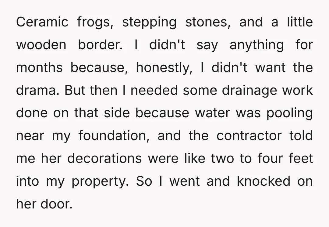 Ceramic frogs, stepping stones, and a little wooden border. I didn't say anything for months because, honestly, I didn't want the drama. But then I needed some drainage work done...