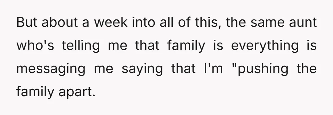 But about a week into all of this, the same aunt who's telling me that family is everything is messaging me saying that I'm "pushing the family apart.