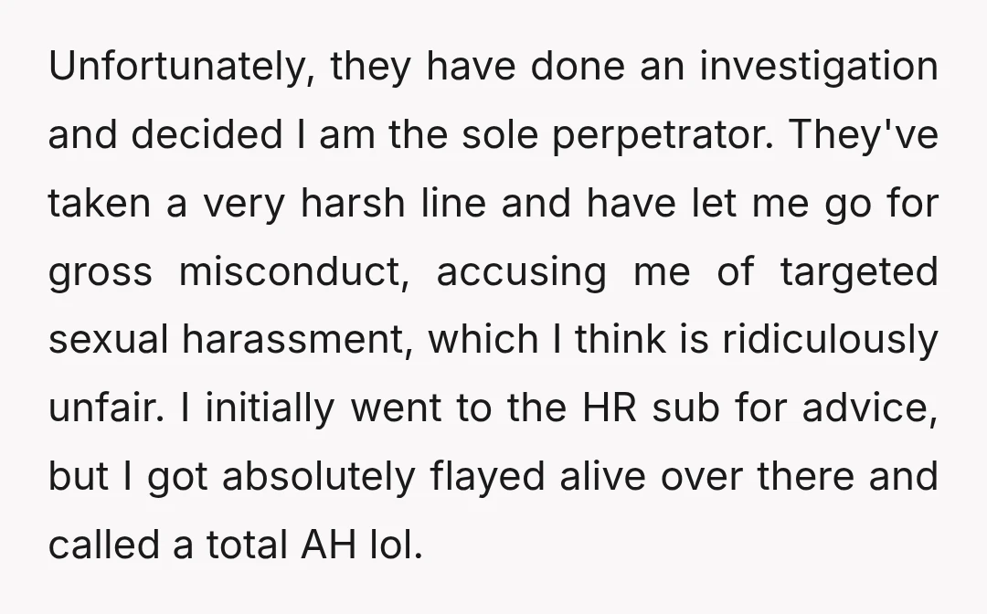 Unfortunately, they have done an investigation and decided I am the sole perpetrator. They've taken a very harsh line and have let me go for gross misconduct, accusing me of...