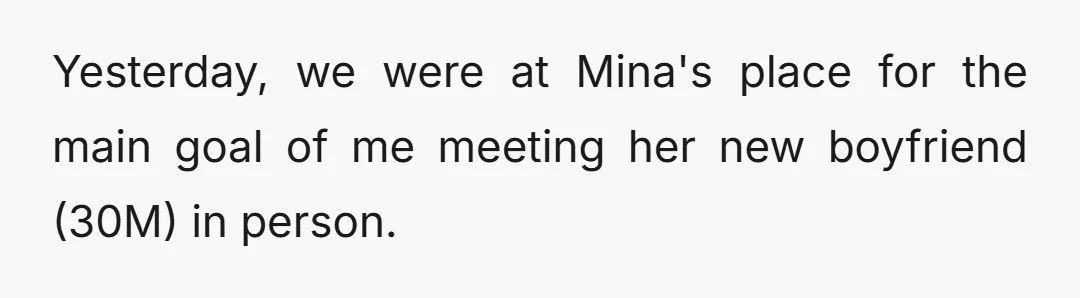 Yesterday, we were at Mina's place for the main goal of me meeting her new boyfriend (30M) in person.