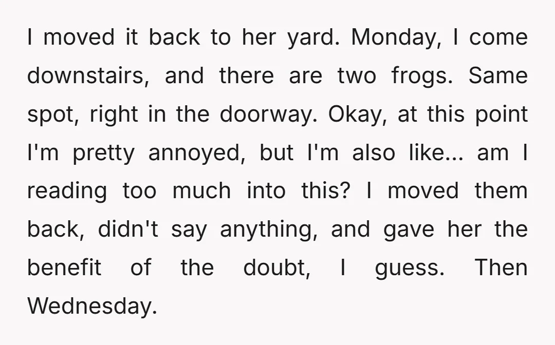 I moved it back to her yard. Monday, I come downstairs, and there are two frogs. Same spot, right in the doorway. Okay, at this point I'm pretty annoyed, but...