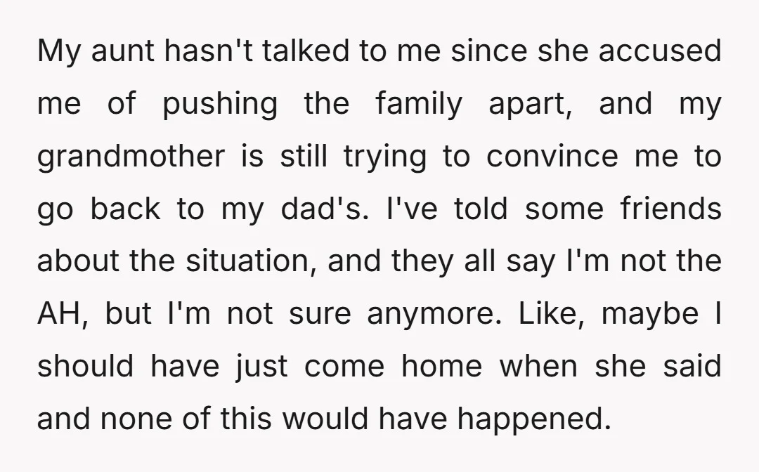 My aunt hasn't talked to me since she accused me of pushing the family apart, and my grandmother is still trying to convince me to go back to my dad's....