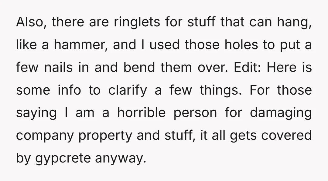 Also, there are ringlets for stuff that can hang, like a hammer, and I used those holes to put a few nails in and bend them over. Edit: Here is...