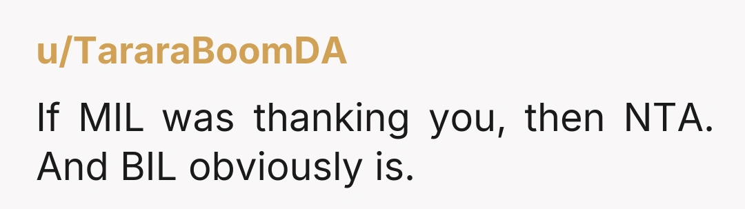 u/TararaBoomDA If MIL was thanking you, then NTA. And BIL obviously is.