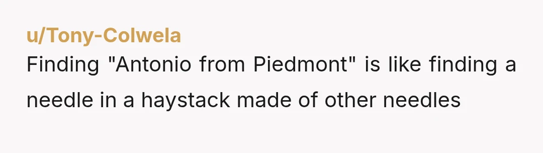 u/Tony-Colwela
Finding "Antonio from Piedmont" is like finding a needle in a haystack made of other needles