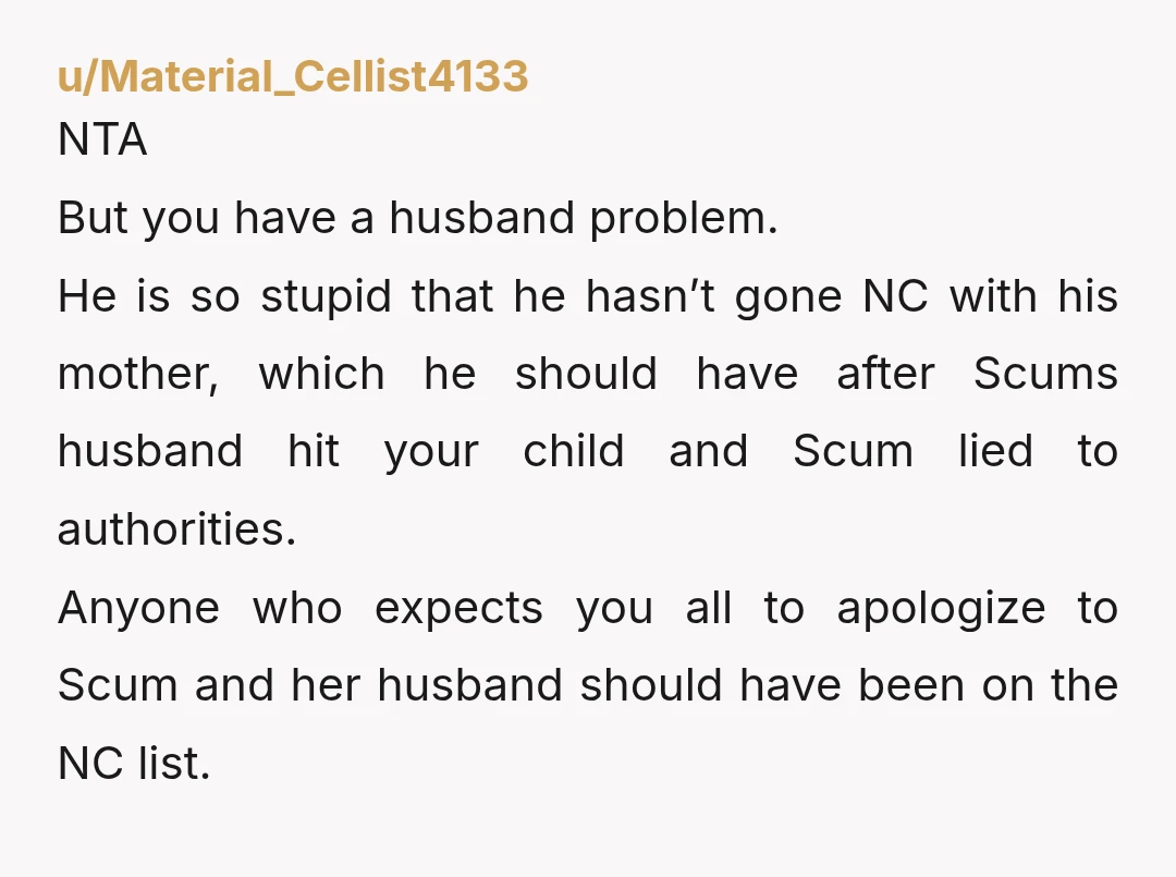 u/Material_Cellist4133 NTA But you have a husband problem. He is so stupid that he hasn’t gone NC with his mother, which he should have after Scums husband hit your child...