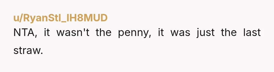 u/RyanStl_IH8MUD NTA, it wasn't the penny, it was just the last straw.