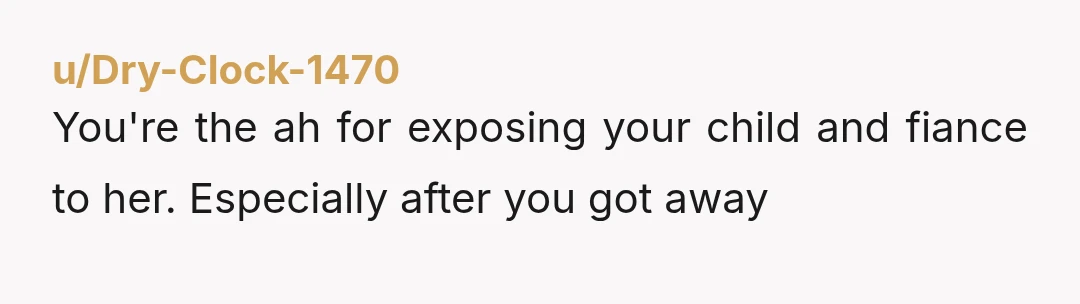 u/Dry-Clock-1470 You're the ah for exposing your child and fiance to her. Especially after you got away