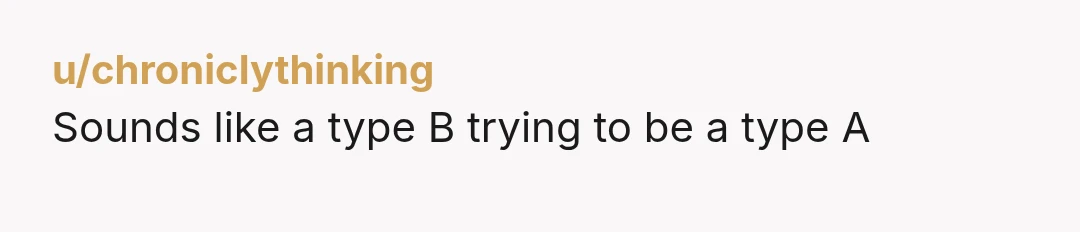 u/chroniclythinking
Sounds like a type B trying to be a type A