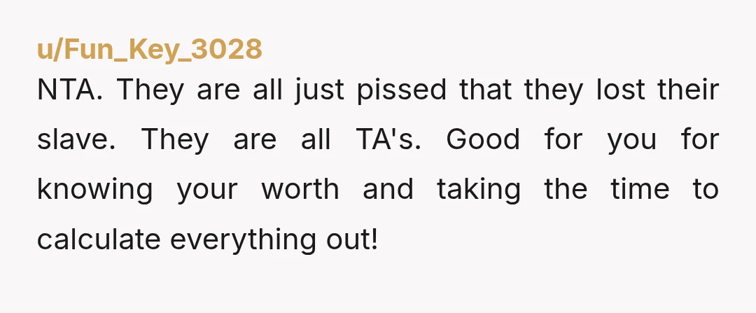 u/Fun_Key_3028 NTA. They are all just pissed that they lost their slave. They are all TA's. Good for you for knowing your worth and taking the time to calculate everything...