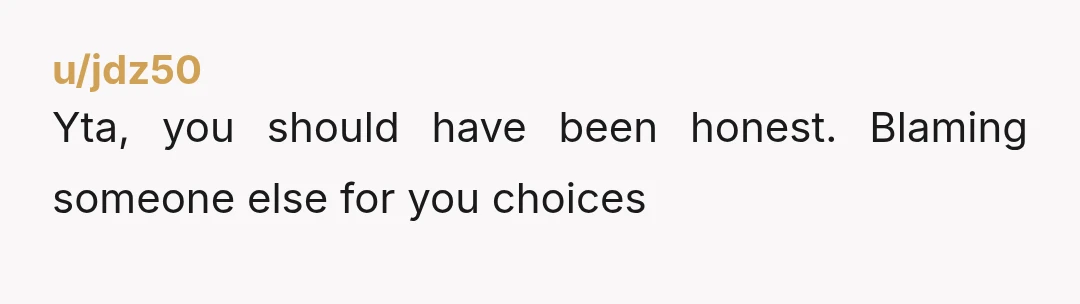 u/jdz50
Yta,  you should have been honest.  Blaming someone else for you choices