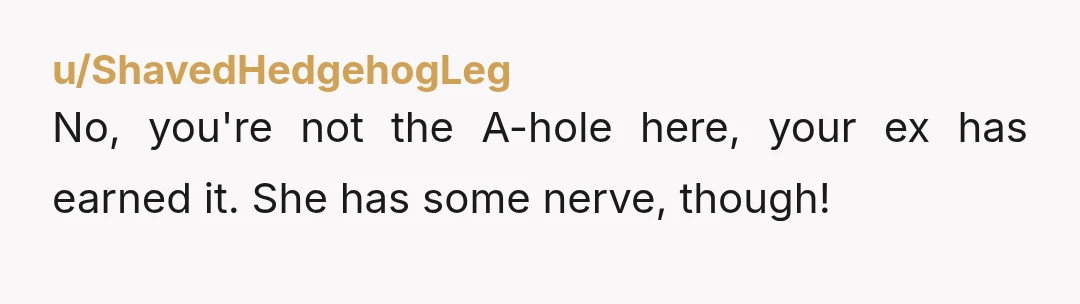 u/ShavedHedgehogLeg No, you're not the A-hole here, your ex has earned it. She has some nerve, though!