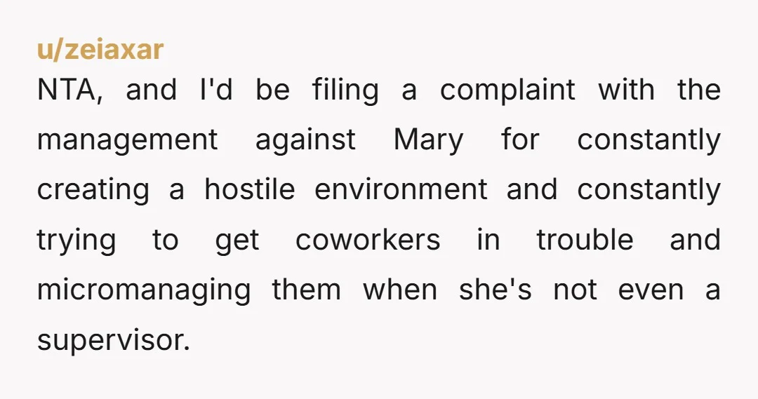 NTA, and I'd be filing a complaint with the management against Mary for constantly creating a hostile environment and constantly trying to get coworkers in trouble and micromanaging them when...