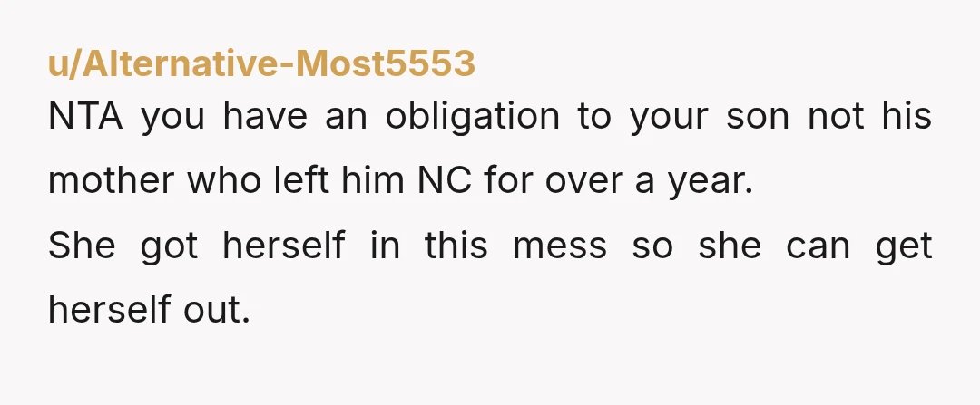 u/Nice_Rain_10 NTA. Not your circus, not your sex monkey. Plus the child support thing.