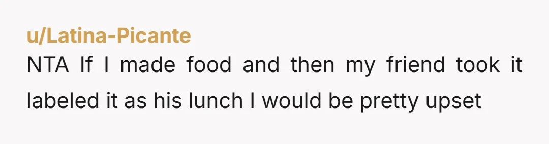 u/Knight_Dark142 NTA. You offered him some for dinner and not the rest for his lunch the next day. Your roommates definitely TA.