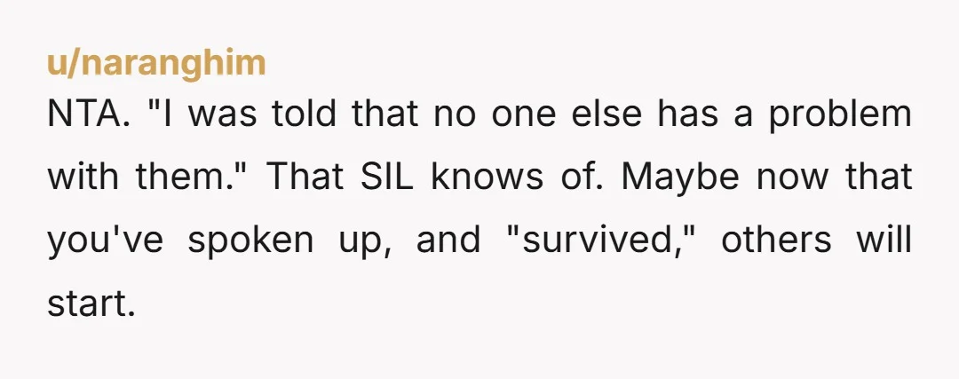 NTA. "I was told that no one else has a problem with them." That SIL knows of. Maybe now that you've spoken up, and "survived," others will start.