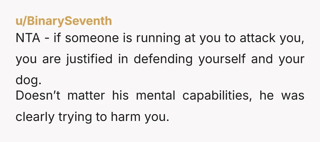 u/BinarySeventh NTA - if someone is running at you to attack you, you are justified in defending yourself and your dog. Doesn’t matter his mental capabilities, he was clearly trying...